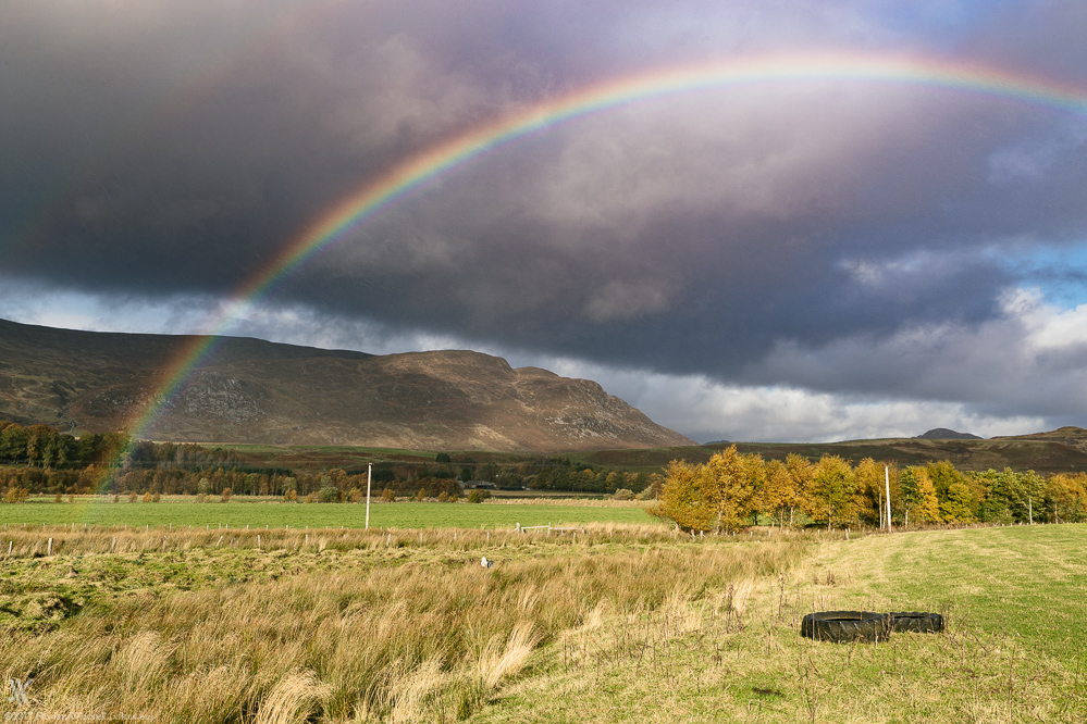 Scottish golden Autumn Days