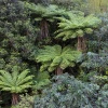 New Zealand, Doubtful Sound