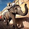 Indien, Jaipur, Amber Fort