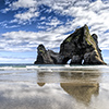xflo:w photo calendar 2014, New Zealand coast wildlife