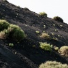 Lanzarote Timanfaya