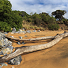 Neuseeland, Abel-Tasman-Nationalpark