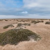 Namibia Skeleton Coast