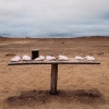 Namibia Skeleton Coast