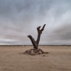 Namibia Skeleton Coast