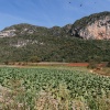 Vinales