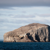 Bass Rock