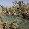 Danakil depression