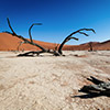 Deadvlei, Namibia