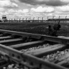 Vernichtungslager Auschwitz-Birkenau