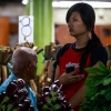 Fiji, Suva market