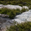 Rotorua, Whakarewarewa, geyser