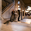 Hagia Sophia