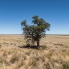 Botswana, Kalahari Transfrontier