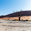 Deadvlei, Namibia