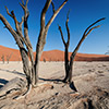 Deadvlei, Namibia