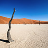 Deadvlei, Namibia