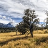 New Zealand, Southern Alps, Queenstown, Wakatipu