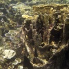 Anak Krakatau, Unterwasser