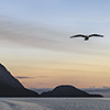 New Zealand, Doubtful Sound