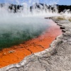 Champagne Pool, Wai-O-Tapu Geothermalgebiet, Rotorua