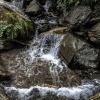 New Zealand, Fox Glacier