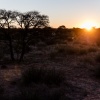 Botswana, Kalahari Transfrontier