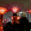 Super Trees, Gardens by the Bay