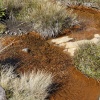 Neuseeland, Tongariro Alpine Crossing