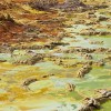 Dallol, Danakil