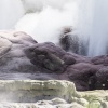 Rotorua, Whakarewarewa, geyser