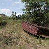 Pripyat, fish breeding