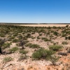 Botswana, Kalahari Transfrontier