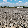 Bledug Kuwu mud volcano