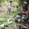 Fidschi, Levuka, Ovalau