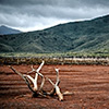 New Caledonia, Lac Yate, Lake Yate