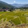 Tsechu Maskenfestival