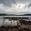 New Caledonia, Lac Yate, Lake Yate