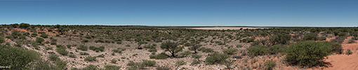 Botswana, Kalahari Transfrontier