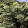 Neuseeland, Abel-Tasman-Nationalpark