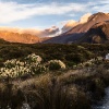 Taupo Vulkanzone, Tongariro