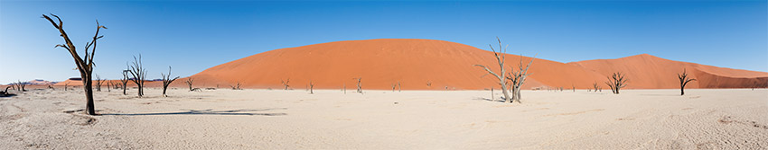 Deadvlei, Namibia