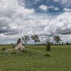 Okavango Delta, Botswana