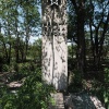 Pripyat, fish breeding