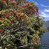 New Zealand, Doubtful Sound