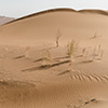 Dasht-e Lut desert, Iran