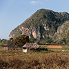 Vinales