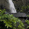 Lush Green, black Basalt