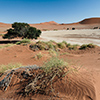 Namib Sossusvlei