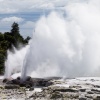 Rotorua, Whakarewarewa, geyser